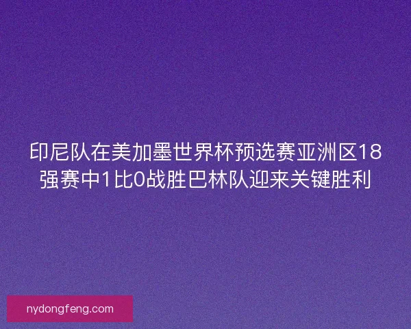 印尼队在美加墨世界杯预选赛亚洲区18强赛中1比0战胜巴林队迎来关键胜利